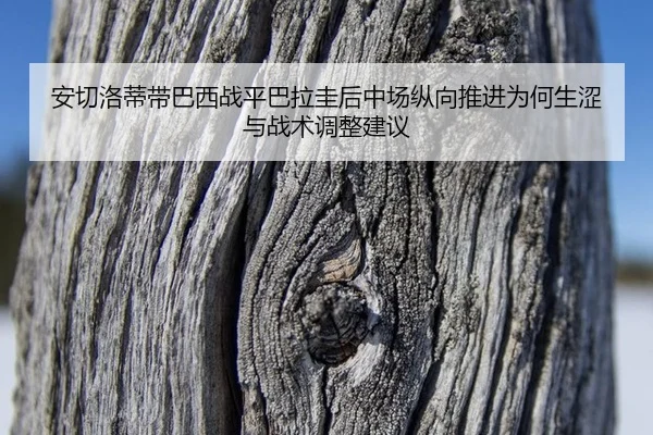 an-qie-luo-di-dai-ba-xi-zhan-ping-ba-la-gui-hou-zhong-chang-zong-xiang-tui-jin-wei-he-sheng-se-yu-zhan-shu-tiao-zheng-2-251.jpg
